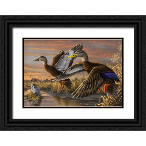 Black Ducks Black Ornate Wood Framed Art Print with Double Matting by Goebel, Wilhelm
