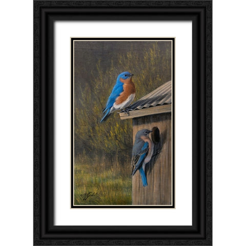 Bluebirds at Home Black Ornate Wood Framed Art Print with Double Matting by Goebel, Wilhelm