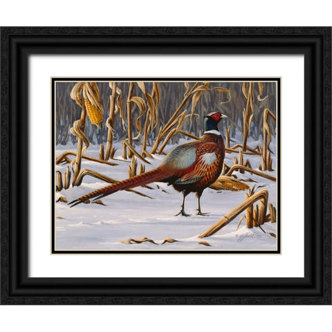 Corn Row Ringneck Black Ornate Wood Framed Art Print with Double Matting by Goebel, Wilhelm