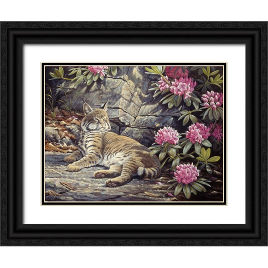 Perspective Image