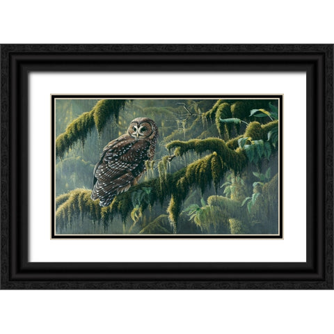 Spirit Of Ancient Forests - Spotted Owl Black Ornate Wood Framed Art Print with Double Matting by Goebel, Wilhelm