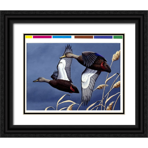 1984 Black Ducks Black Ornate Wood Framed Art Print with Double Matting by Goebel, Wilhelm