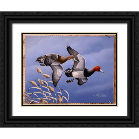 1986 Redhead Ducks Black Ornate Wood Framed Art Print with Double Matting by Goebel, Wilhelm