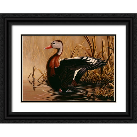 1988 Black Bellied Whistling Duck Black Ornate Wood Framed Art Print with Double Matting by Goebel, Wilhelm