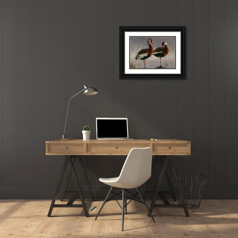 1989 Black Bellied Whistling Duck Black Ornate Wood Framed Art Print with Double Matting by Goebel, Wilhelm