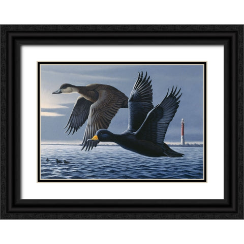 1990 Black Scoters Black Ornate Wood Framed Art Print with Double Matting by Goebel, Wilhelm