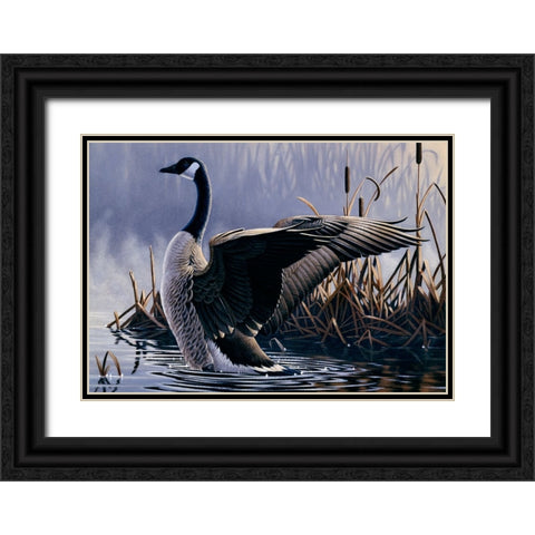 1992 Canada Goose Black Ornate Wood Framed Art Print with Double Matting by Goebel, Wilhelm