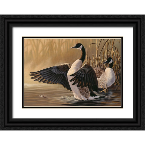 1994 Canada Geese Black Ornate Wood Framed Art Print with Double Matting by Goebel, Wilhelm