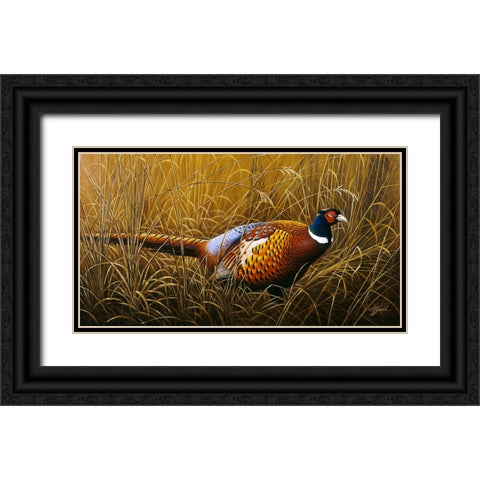 Sneaking Through The Long Grass - Ring Neck Pheasant Black Ornate Wood Framed Art Print with Double Matting by Goebel, Wilhelm
