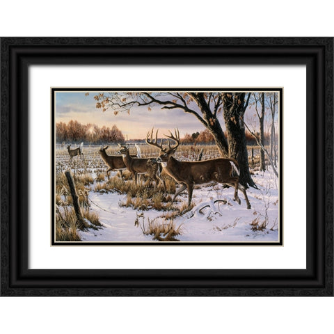Cautious Crossing - Whitetails Black Ornate Wood Framed Art Print with Double Matting by Goebel, Wilhelm