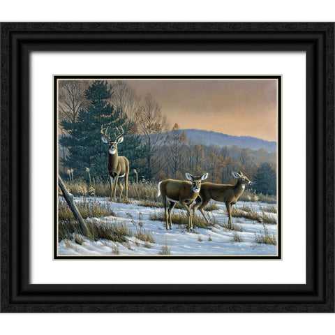 Prime Time - Whitetail Deer Black Ornate Wood Framed Art Print with Double Matting by Goebel, Wilhelm