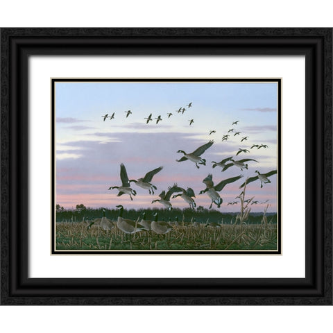 Wings Over Delmarva Black Ornate Wood Framed Art Print with Double Matting by Goebel, Wilhelm