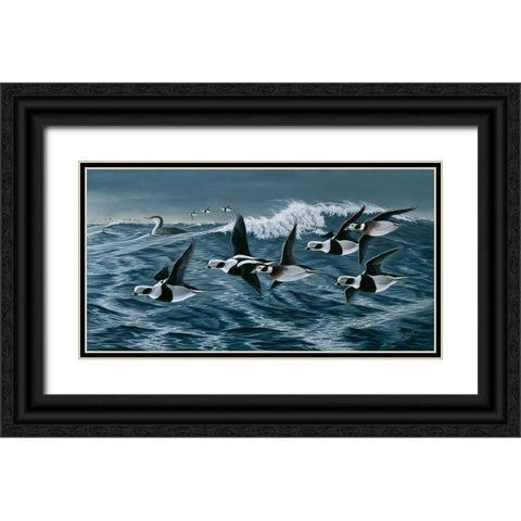 Rough Day On The Bay - Oldsquaw Ducks Black Ornate Wood Framed Art Print with Double Matting by Goebel, Wilhelm