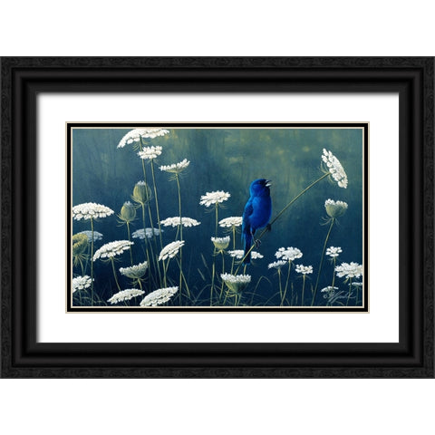 Indigo And Lace - Indigo Bunting Black Ornate Wood Framed Art Print with Double Matting by Goebel, Wilhelm