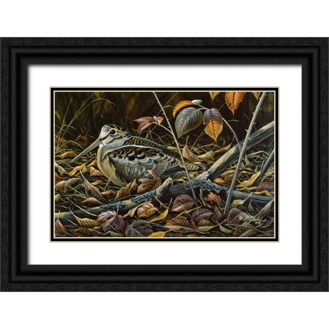 Migration Stop  - Woodcock Black Ornate Wood Framed Art Print with Double Matting by Goebel, Wilhelm