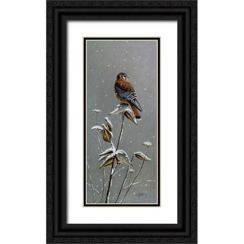 Gentle Snowfall - Kestrel Black Ornate Wood Framed Art Print with Double Matting by Goebel, Wilhelm