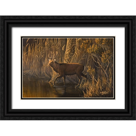 Evening Rounds Sika Deer Black Ornate Wood Framed Art Print with Double Matting by Goebel, Wilhelm