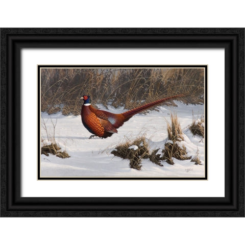 Winter Walk Pheasant Black Ornate Wood Framed Art Print with Double Matting by Goebel, Wilhelm