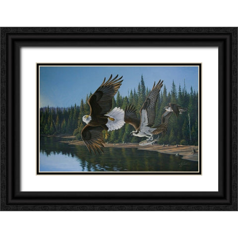 Eagle Osprey Black Ornate Wood Framed Art Print with Double Matting by Goebel, Wilhelm