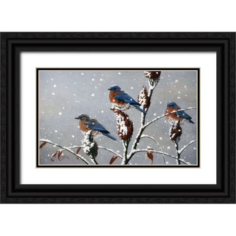 Winter Trio Black Ornate Wood Framed Art Print with Double Matting by Goebel, Wilhelm