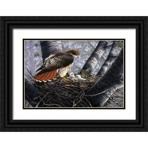 In The Nest Black Ornate Wood Framed Art Print with Double Matting by Goebel, Wilhelm