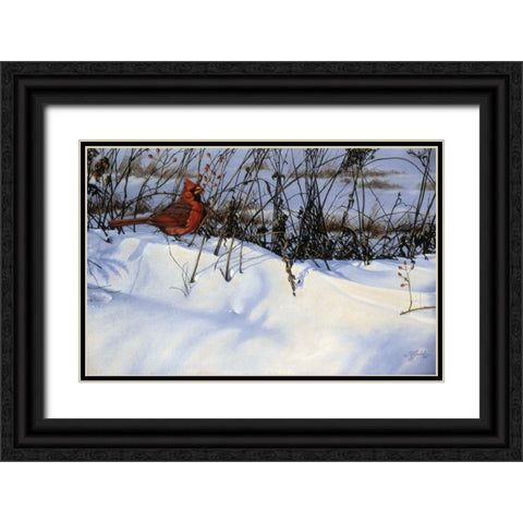 Winter Cardinal Black Ornate Wood Framed Art Print with Double Matting by Goebel, Wilhelm