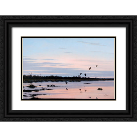 Sunset March Black Ducks Black Ornate Wood Framed Art Print with Double Matting by Goebel, Wilhelm