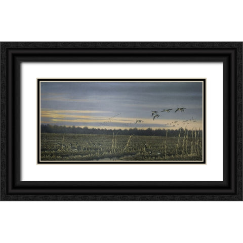 Canada Geese Black Ornate Wood Framed Art Print with Double Matting by Goebel, Wilhelm