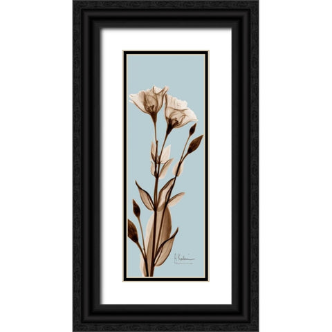 Tulip Pair  Brown on Blue Black Ornate Wood Framed Art Print with Double Matting by Koetsier, Albert