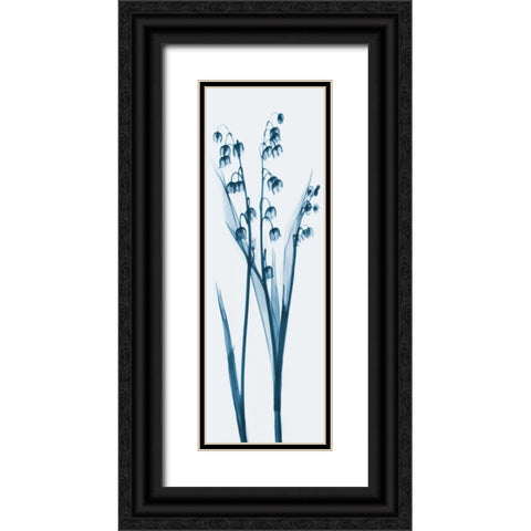 Lily of the Valley in Blue Black Ornate Wood Framed Art Print with Double Matting by Koetsier, Albert