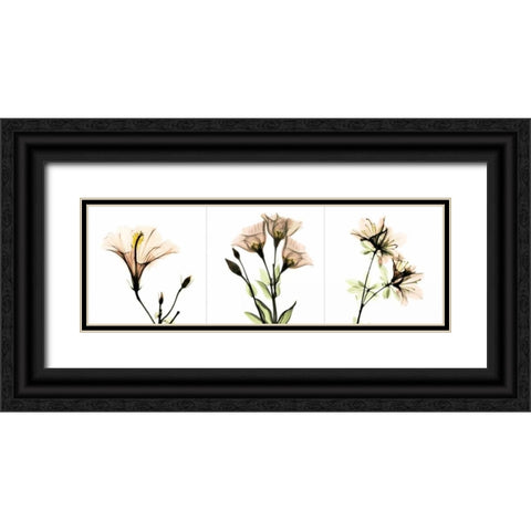 Pink Floral Tryp Tych I Black Ornate Wood Framed Art Print with Double Matting by Koetsier, Albert