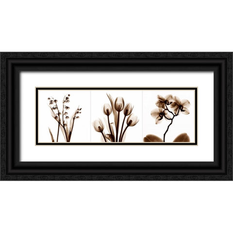 Sepia Floral Tryp Tych II Black Ornate Wood Framed Art Print with Double Matting by Koetsier, Albert