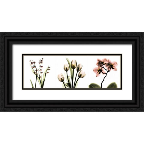Pink Floral Tryp Tych II Black Ornate Wood Framed Art Print with Double Matting by Koetsier, Albert
