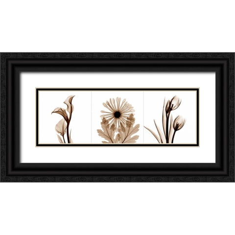 Sepia Floral Tryp Tych III Black Ornate Wood Framed Art Print with Double Matting by Koetsier, Albert