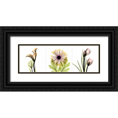 Pink Floral Tryp Tych III Black Ornate Wood Framed Art Print with Double Matting by Koetsier, Albert