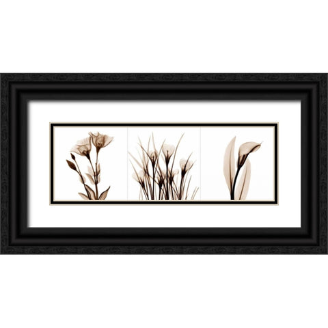 Sepia Floral Tryp Tych IV Black Ornate Wood Framed Art Print with Double Matting by Koetsier, Albert