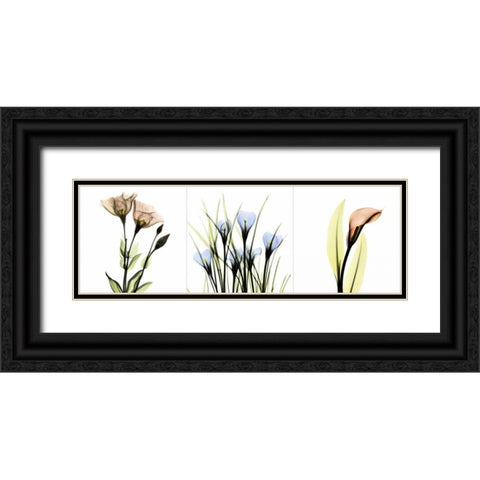 Multi-color Floral Tryp Tych I Black Ornate Wood Framed Art Print with Double Matting by Koetsier, Albert