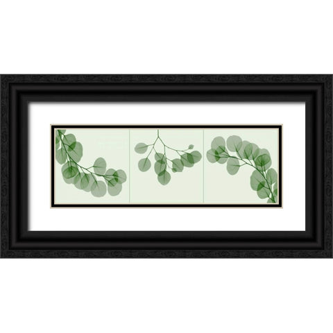 Leaf Triple in Green Black Ornate Wood Framed Art Print with Double Matting by Koetsier, Albert