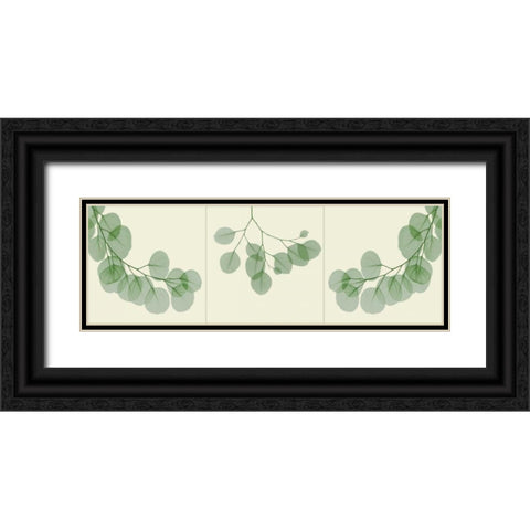 Leaf Triple in Green 2 Black Ornate Wood Framed Art Print with Double Matting by Koetsier, Albert