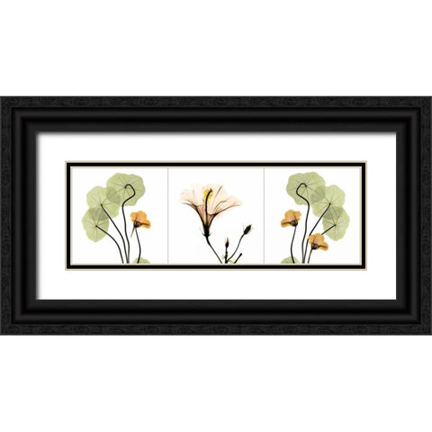 Triple in Color Black Ornate Wood Framed Art Print with Double Matting by Koetsier, Albert