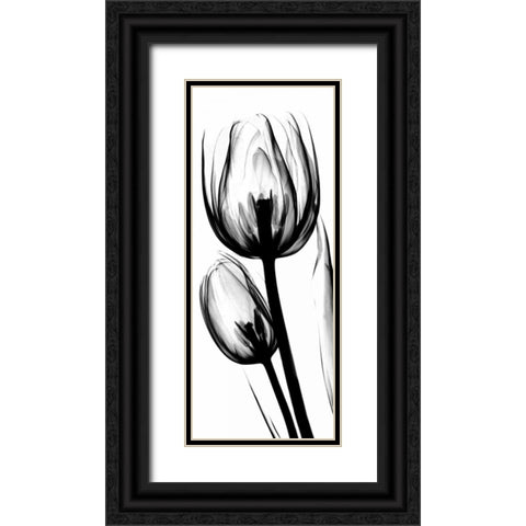 Tulip in BandW Black Ornate Wood Framed Art Print with Double Matting by Koetsier, Albert