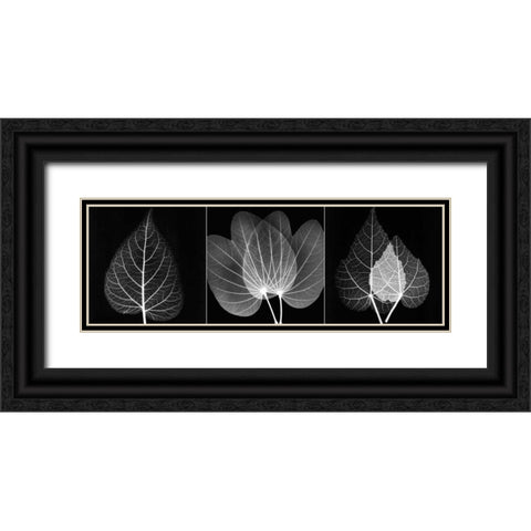 Leaf Triple on Black 2 Black Ornate Wood Framed Art Print with Double Matting by Koetsier, Albert