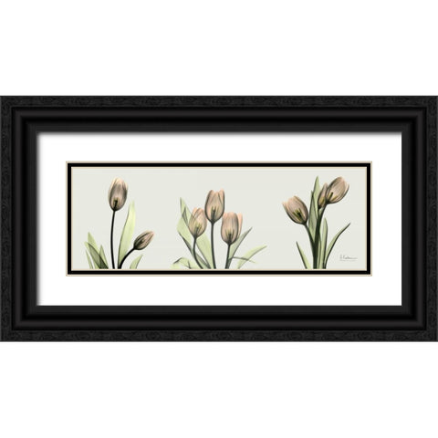 Spring  Tulip Triple Black Ornate Wood Framed Art Print with Double Matting by Koetsier, Albert