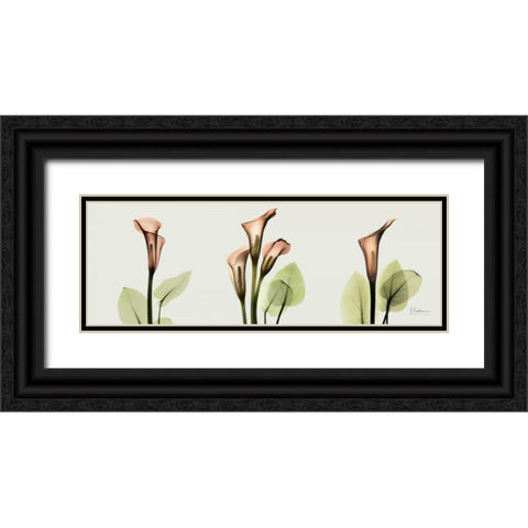 Spring Calla Lily Triple Black Ornate Wood Framed Art Print with Double Matting by Koetsier, Albert