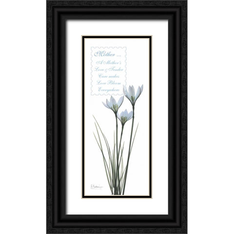 White Rain Lily - Mother Black Ornate Wood Framed Art Print with Double Matting by Koetsier, Albert