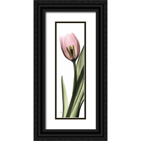 Tulip in Color 2 Black Ornate Wood Framed Art Print with Double Matting by Koetsier, Albert