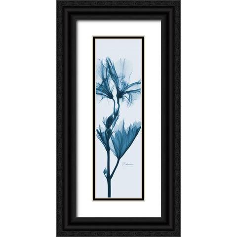 Geranium in Blue Black Ornate Wood Framed Art Print with Double Matting by Koetsier, Albert