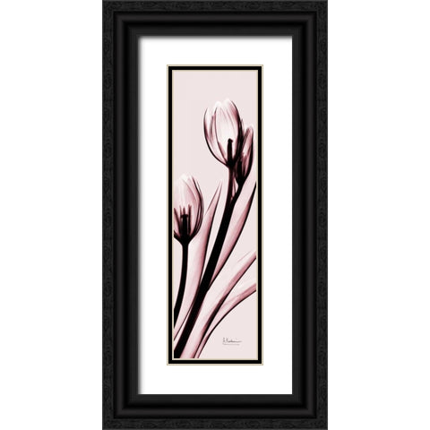 Tulip on Pink Black Ornate Wood Framed Art Print with Double Matting by Koetsier, Albert