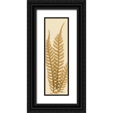 Tree Fern Brown on Beige Black Ornate Wood Framed Art Print with Double Matting by Koetsier, Albert