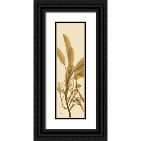 Sage Brown on Beige Black Ornate Wood Framed Art Print with Double Matting by Koetsier, Albert